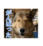 めぐななこつぐみ日記（個別スタンプ：28）