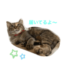 あんずちゃん其の13（個別スタンプ：6）