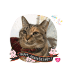 あんずちゃん其の13（個別スタンプ：14）