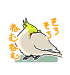 オカメインコ図鑑1（個別スタンプ：14）