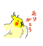 オカメインコ図鑑1（個別スタンプ：26）