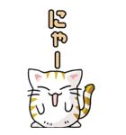 猫のスタンプ その12（個別スタンプ：1）