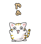 猫のスタンプ その12（個別スタンプ：3）