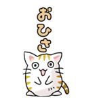 猫のスタンプ その12（個別スタンプ：4）