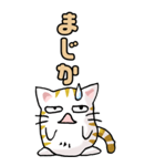 猫のスタンプ その12（個別スタンプ：10）