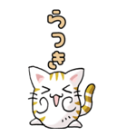 猫のスタンプ その12（個別スタンプ：18）