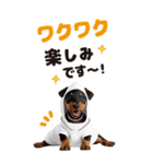 BIGで可愛い♡ミニチュア・ピンシャー推犬（個別スタンプ：9）