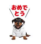 BIGで可愛い♡ミニチュア・ピンシャー推犬（個別スタンプ：21）