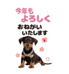 BIGで可愛い♡ミニチュア・ピンシャー推犬（個別スタンプ：31）