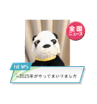 あけおめ！パンダアレンジスタンプ 春も！（個別スタンプ：22）