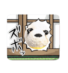 あけおめ！パンダアレンジスタンプ 春も！（個別スタンプ：24）