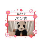 あけおめ！パンダアレンジスタンプ 春も！（個別スタンプ：27）