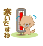 わんこ日和番外編(ニホンオオカミ)-toYvu-（個別スタンプ：27）