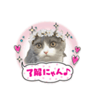 猫のティナちゃん（個別スタンプ：9）
