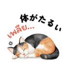 かわいい水彩猫スタンプ（個別スタンプ：8）