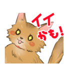 よそネコチャン4（個別スタンプ：6）
