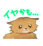 よそネコチャン4（個別スタンプ：7）