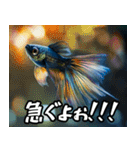 飛び魚なのよ！！（個別スタンプ：1）