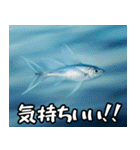 飛び魚なのよ！！（個別スタンプ：6）