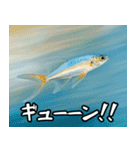 飛び魚なのよ！！（個別スタンプ：7）