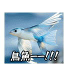 飛び魚なのよ！！（個別スタンプ：12）