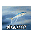 飛び魚なのよ！！（個別スタンプ：19）