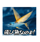 飛び魚なのよ！！（個別スタンプ：21）