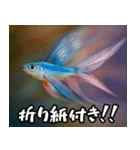 飛び魚なのよ！！（個別スタンプ：23）