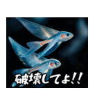 飛び魚なのよ！！（個別スタンプ：24）