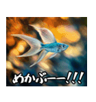 飛び魚なのよ！！（個別スタンプ：28）