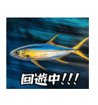 飛び魚なのよ！！（個別スタンプ：30）