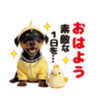 1年中かわいい犬♡ミニチュア・ピンシャー（個別スタンプ：1）