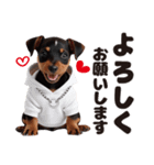 1年中かわいい犬♡ミニチュア・ピンシャー（個別スタンプ：3）