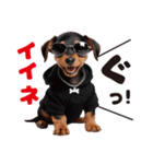 1年中かわいい犬♡ミニチュア・ピンシャー（個別スタンプ：5）