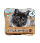 いつでも使える(冬多め)（個別スタンプ：8）