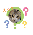 いつでも使える(冬多め)（個別スタンプ：9）