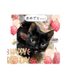 いつでも使える(冬多め)（個別スタンプ：10）