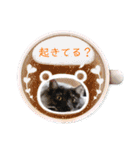 いつでも使える(冬多め)（個別スタンプ：12）