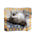 いつでも使える(冬多め)（個別スタンプ：18）