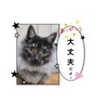 いつでも使える(冬多め)（個別スタンプ：19）