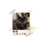 いつでも使える(冬多め)（個別スタンプ：21）