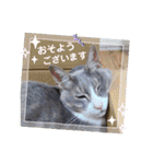 いつでも使える(冬多め)（個別スタンプ：22）
