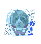 いつでも使える(冬多め)（個別スタンプ：24）