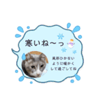 いつでも使える(冬多め)（個別スタンプ：26）