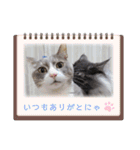 いつでも使える(冬多め)（個別スタンプ：30）
