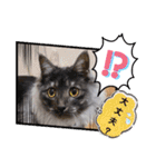 いつでも使える(冬多め)（個別スタンプ：32）