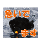 サロベツ原野のどうぶつ・野鳥②（個別スタンプ：4）