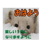 サロベツ原野のどうぶつ・野鳥②（個別スタンプ：11）
