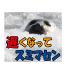 サロベツ原野のどうぶつ・野鳥②（個別スタンプ：19）