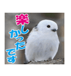 サロベツ原野のどうぶつ・野鳥②（個別スタンプ：27）